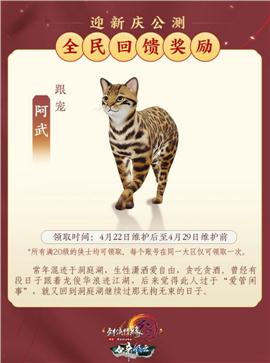 爽歪歪天龙八部私服